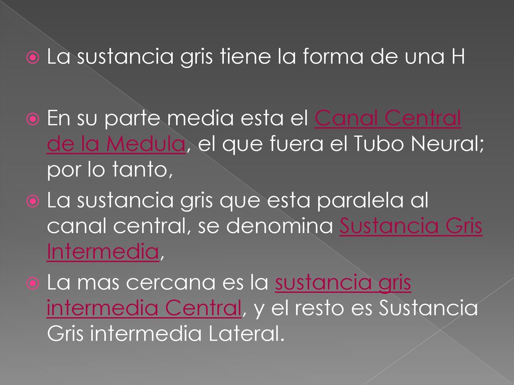 La sustancia gris tiene la forma de una H