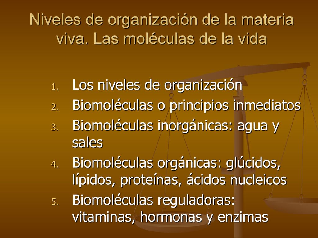 Niveles de organización de la materia viva. Las moléculas de la vida