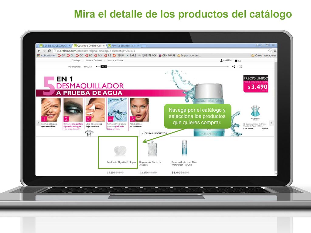 Navega por el catálogo y selecciona los productos