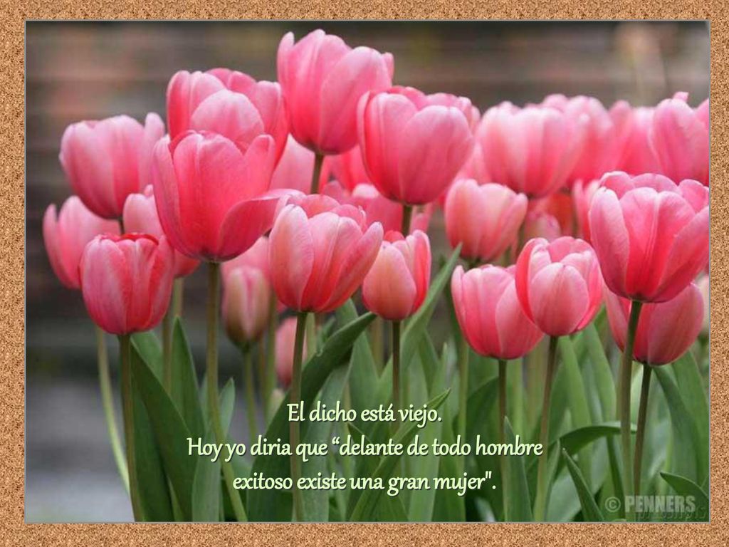 El dicho está viejo. Hoy yo diria que delante de todo hombre exitoso existe una gran mujer .