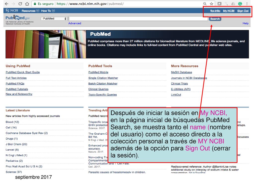 Después de iniciar la sesión en My NCBI, en la página inicial de búsquedas PubMed Search, se muestra tanto el name (nombre del usuario) como el acceso directo a la colección personal a través de MY NCBI además de la opción para Sign Out (cerrar la sesión).