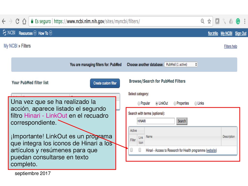 Una vez que se ha realizado la acción, aparece listado el segundo filtro Hinari - LinkOut en el recuadro correspondiente.