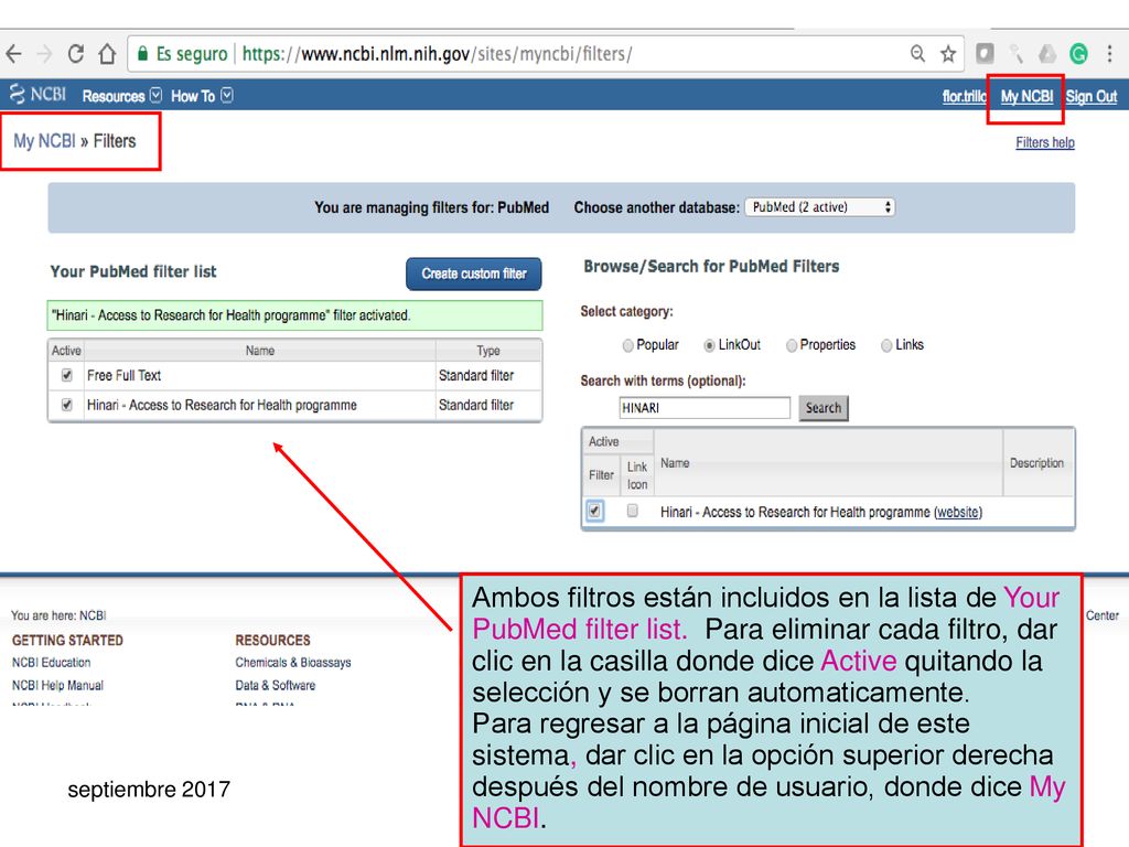 Ambos filtros están incluidos en la lista de Your PubMed filter list