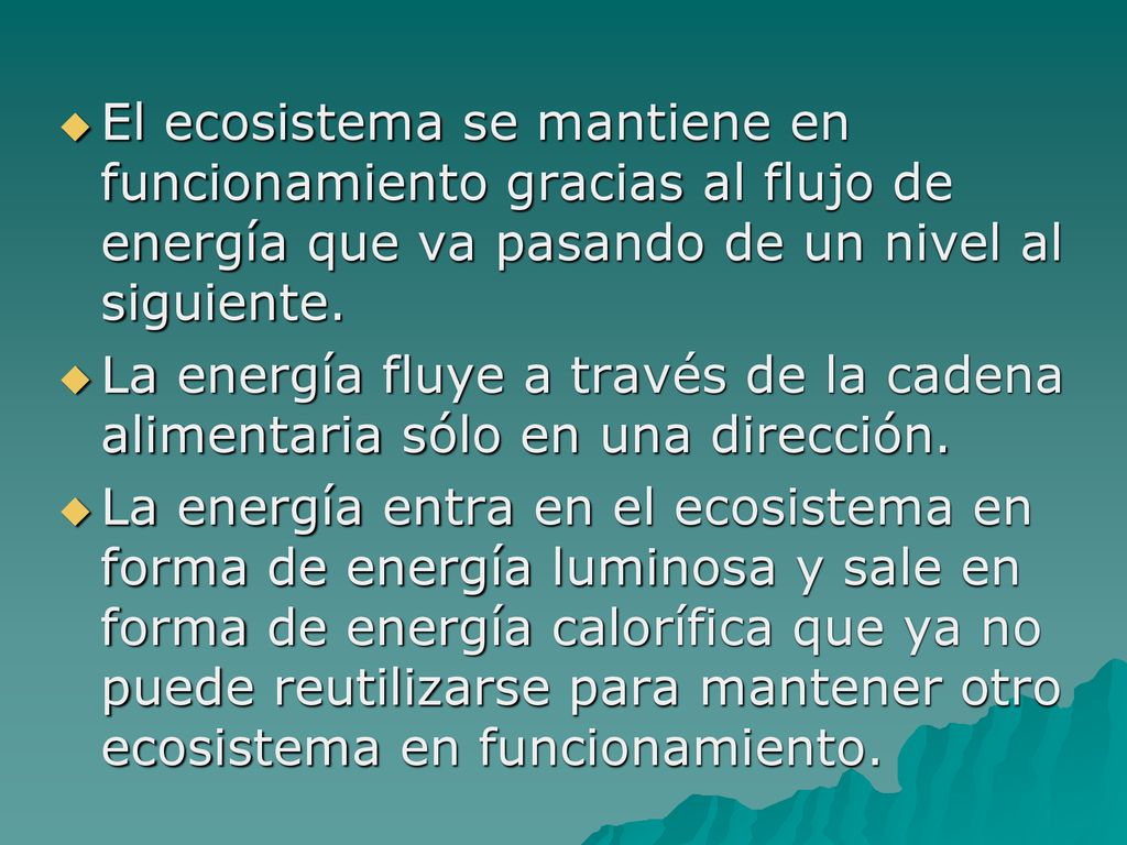 El ecosistema se mantiene en funcionamiento gracias al flujo de energía que va pasando de un nivel al siguiente.