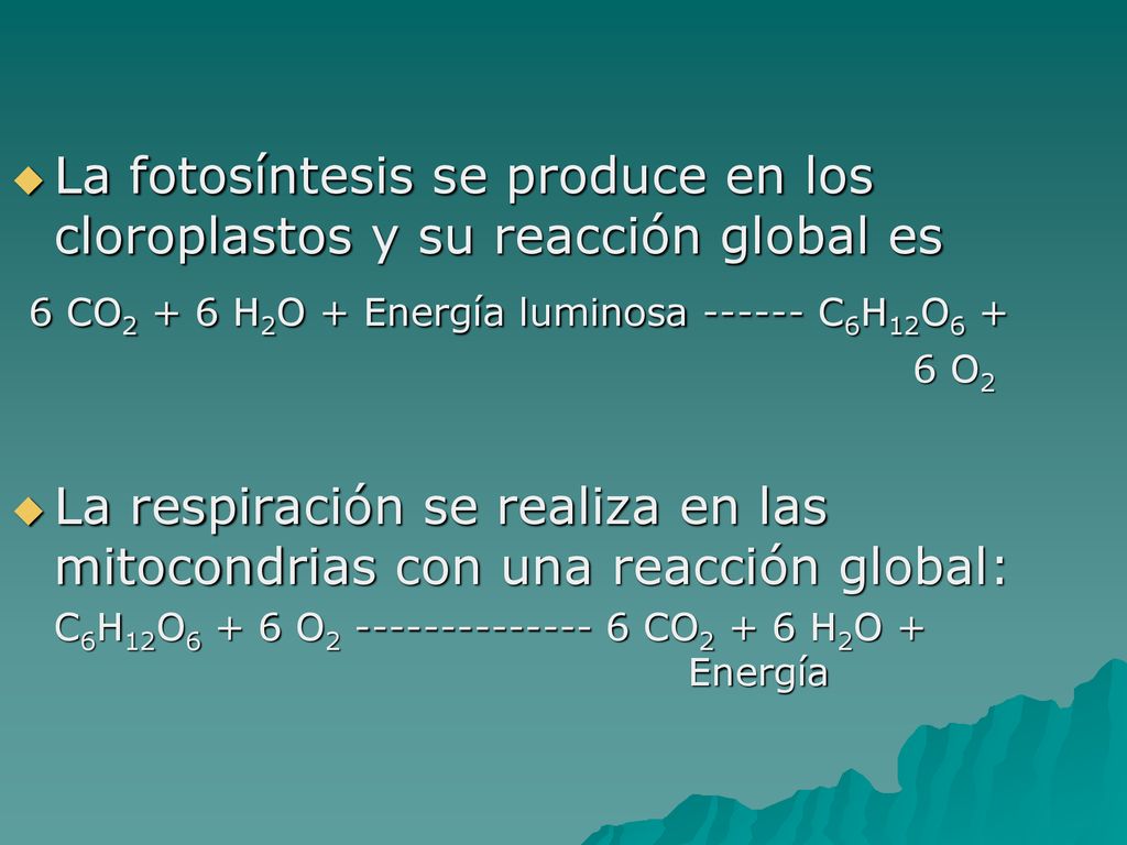 La fotosíntesis se produce en los cloroplastos y su reacción global es