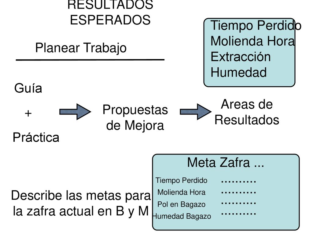 Describe las metas para la zafra actual en B y M