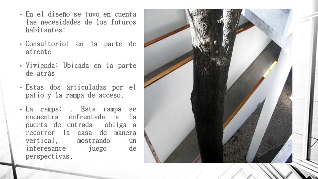 En el diseño se tuvo en cuenta las necesidades de los futuros habitantes: