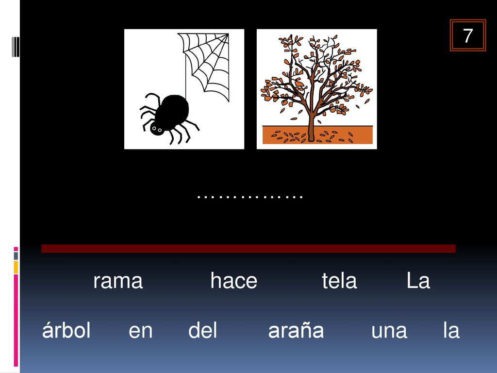 7 …………… rama hace tela La árbol en del araña una la