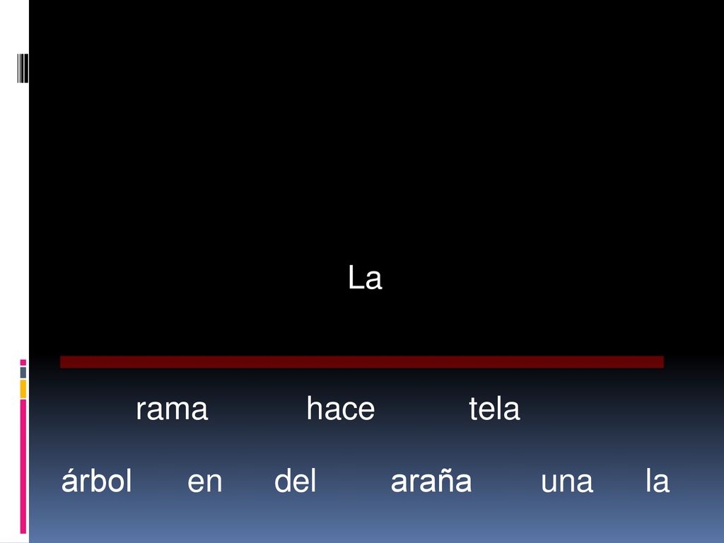 La rama hace tela árbol en del araña una la