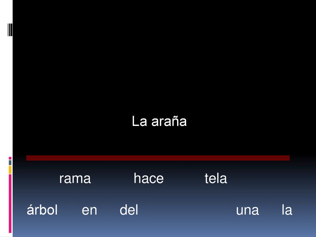 La araña rama hace tela árbol en del una la