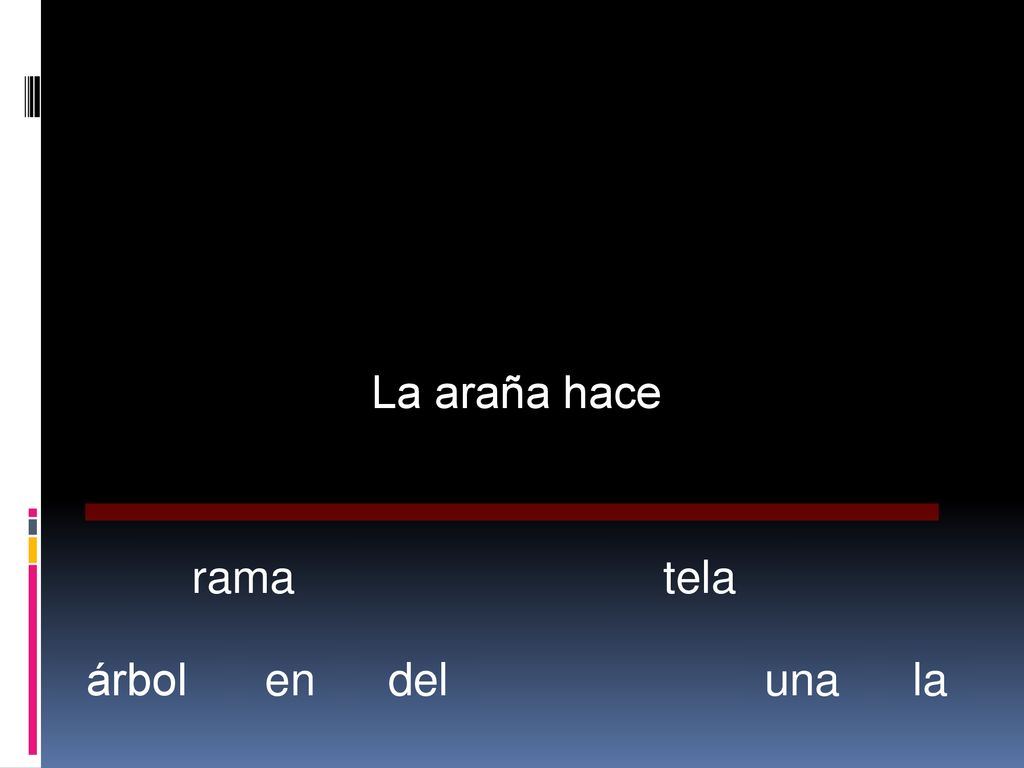 La araña hace rama tela árbol en del una la