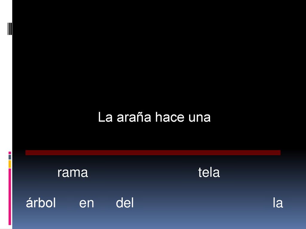 La araña hace una rama tela árbol en del la