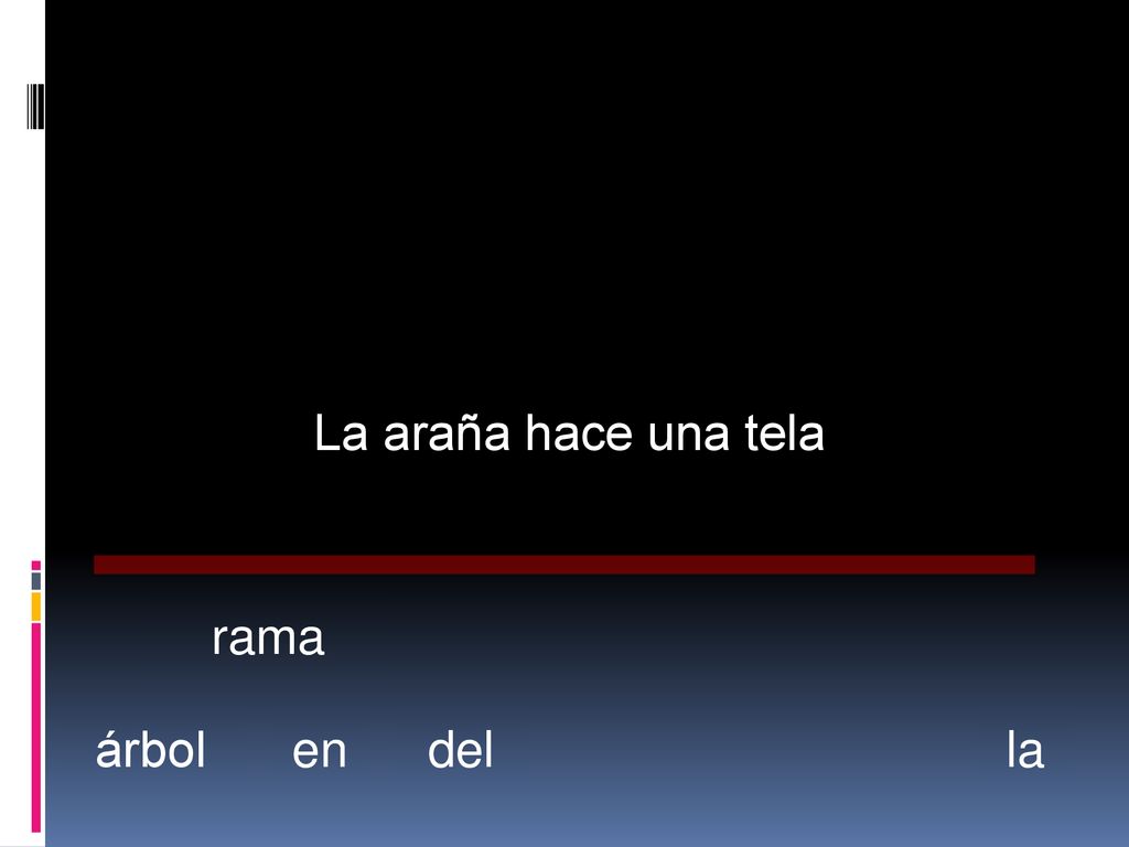 La araña hace una tela rama árbol en del la
