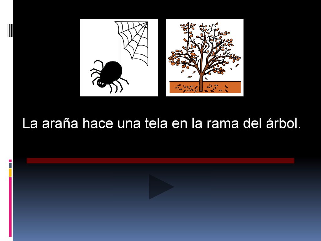 La araña hace una tela en la rama del árbol.