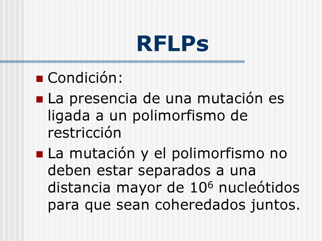 RFLPs Condición: La presencia de una mutación es ligada a un polimorfismo de restricción.