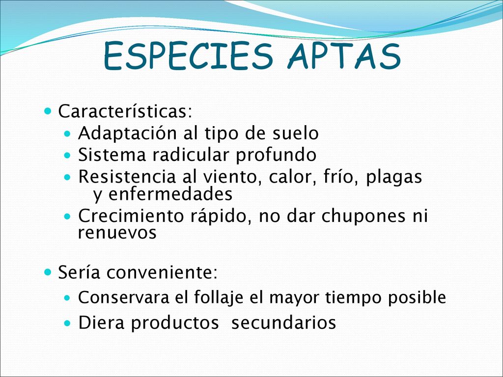 ESPECIES APTAS Características: Adaptación al tipo de suelo