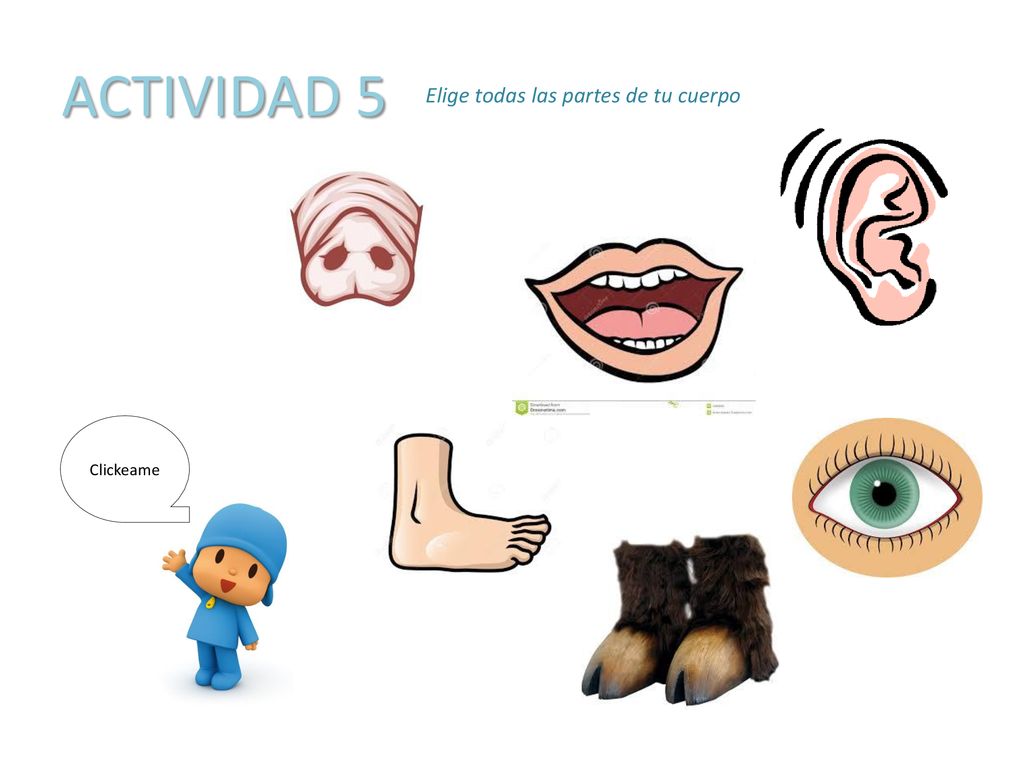ACTIVIDAD 5 Elige todas las partes de tu cuerpo Clickeame