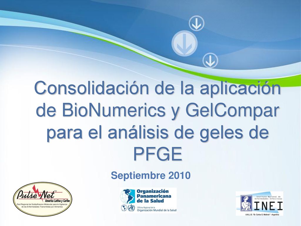 Consolidación de la aplicación de BioNumerics y GelCompar para el análisis de geles de PFGE