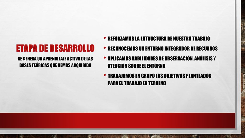 Etapa de desarrollo Reforzamos la estructura de nuestro trabajo