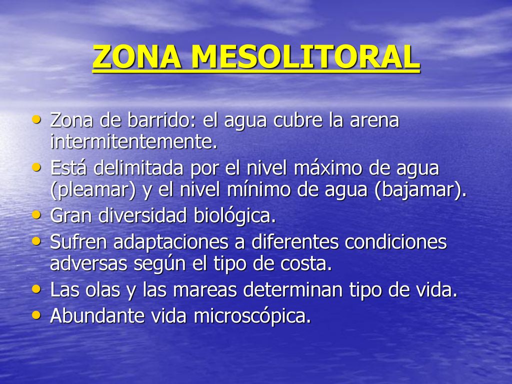 ZONA MESOLITORAL Zona de barrido: el agua cubre la arena intermitentemente.