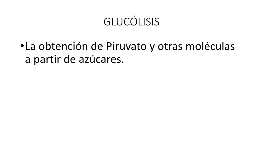 GLUCÓLISIS La obtención de Piruvato y otras moléculas a partir de azúcares.
