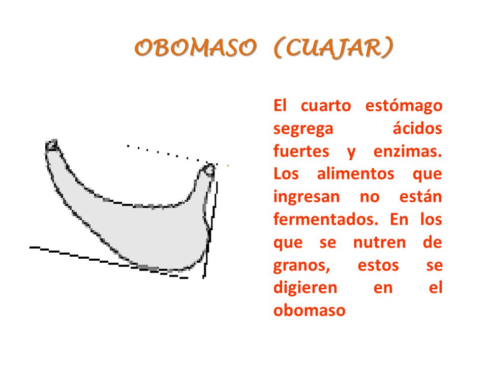 OBOMASO (CUAJAR)