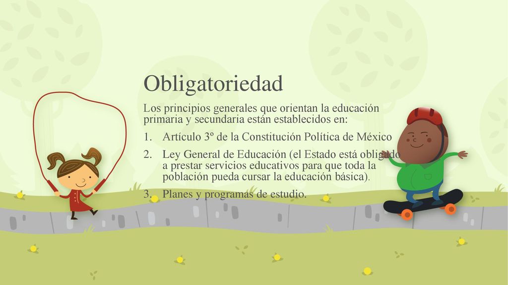 Obligatoriedad Los principios generales que orientan la educación primaria y secundaria están establecidos en:
