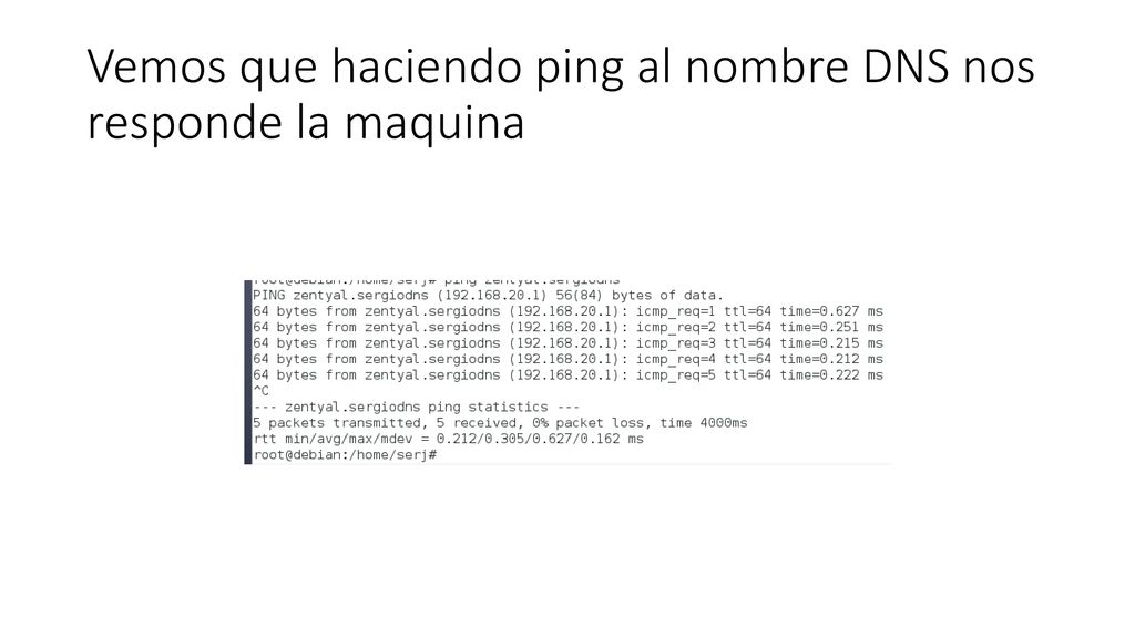 Vemos que haciendo ping al nombre DNS nos responde la maquina