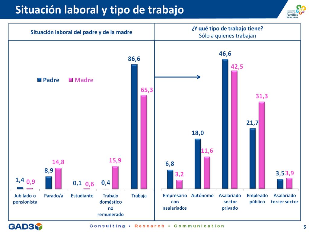 Situación laboral y tipo de trabajo