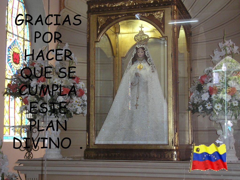 GRACIAS POR HACER QUE SE CUMPLA ESTE PLAN DIVINO .