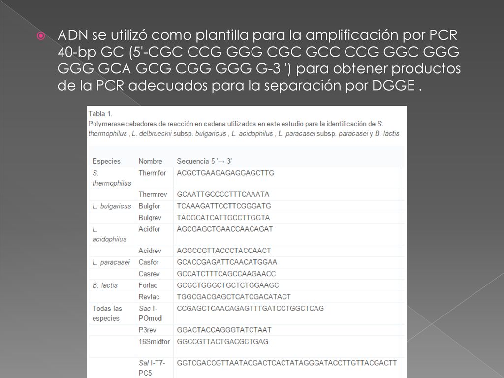 ADN se utilizó como plantilla para la amplificación por PCR 40-bp GC (5 -CGC CCG GGG CGC GCC CCG GGC GGG GGG GCA GCG CGG GGG G-3 ) para obtener productos de la PCR adecuados para la separación por DGGE .