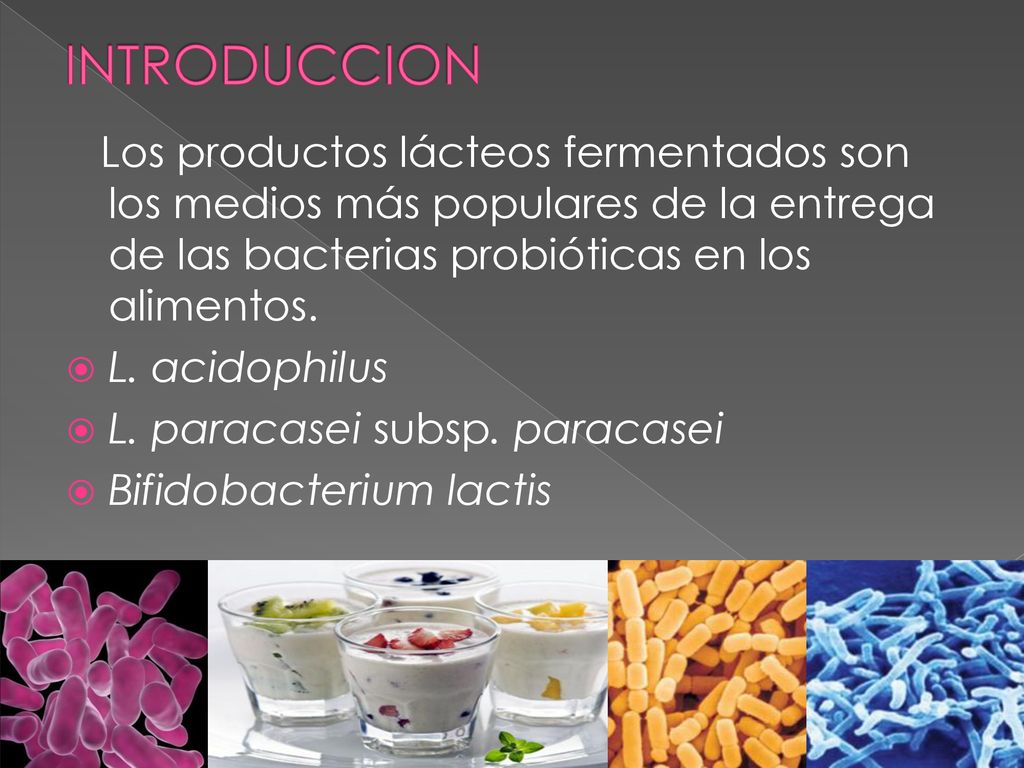 INTRODUCCION Los productos lácteos fermentados son los medios más populares de la entrega de las bacterias probióticas en los alimentos.