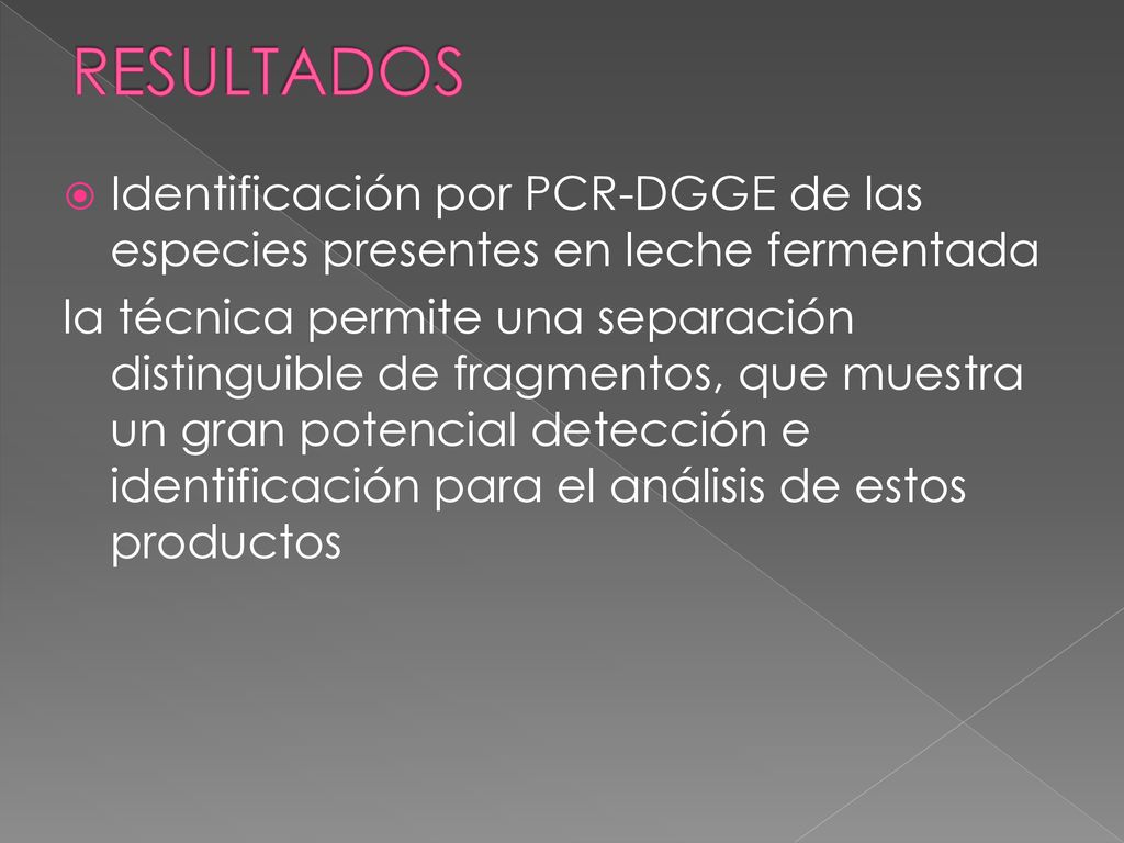 RESULTADOS Identificación por PCR-DGGE de las especies presentes en leche fermentada.