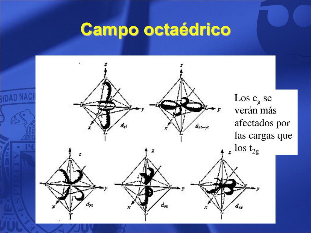 Campo octaédrico Los eg se verán más afectados por las cargas que los t2g 28