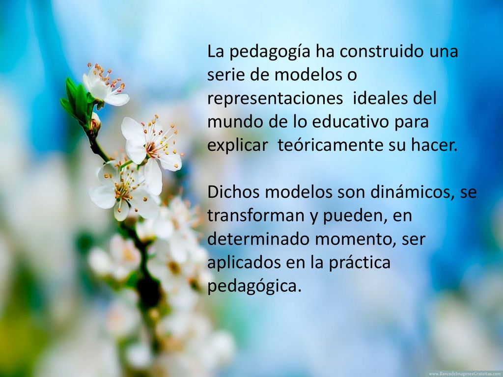 La pedagogía ha construido una serie de modelos o representaciones ideales del mundo de lo educativo para explicar teóricamente su hacer.