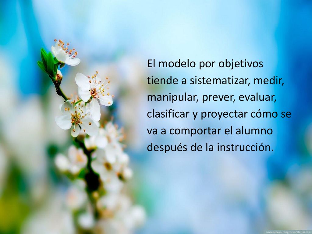 El modelo por objetivos tiende a sistematizar, medir, manipular, prever, evaluar, clasificar y proyectar cómo se va a comportar el alumno después de la instrucción.