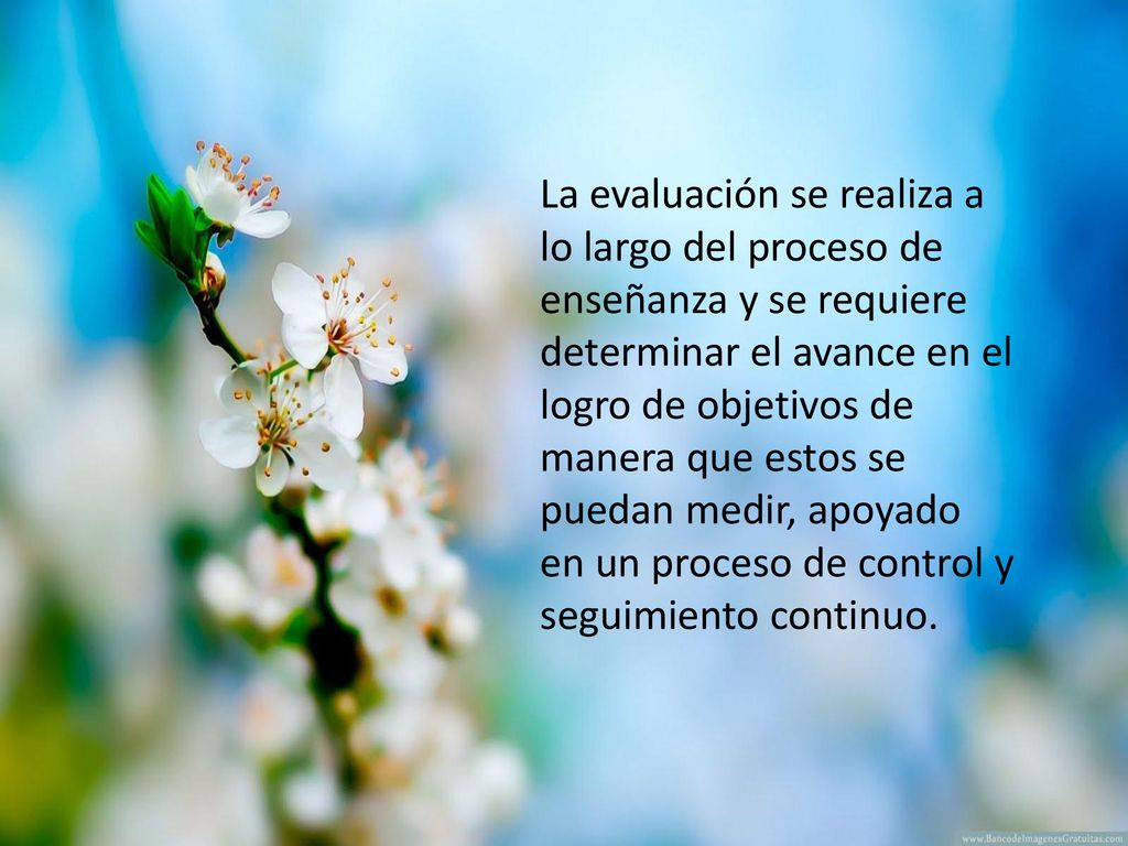 La evaluación se realiza a lo largo del proceso de enseñanza y se requiere determinar el avance en el logro de objetivos de manera que estos se puedan medir, apoyado en un proceso de control y seguimiento continuo.