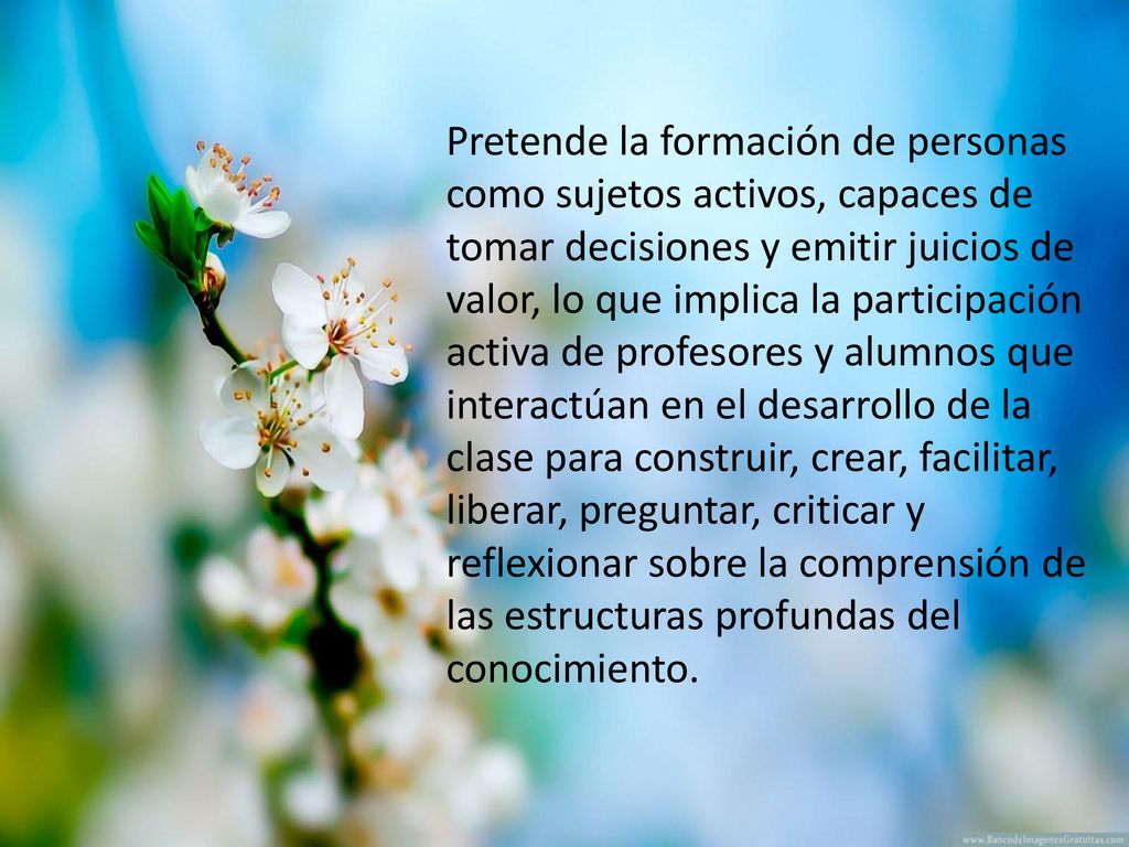 Pretende la formación de personas como sujetos activos, capaces de tomar decisiones y emitir juicios de valor, lo que implica la participación activa de profesores y alumnos que interactúan en el desarrollo de la clase para construir, crear, facilitar, liberar, preguntar, criticar y reflexionar sobre la comprensión de las estructuras profundas del conocimiento.