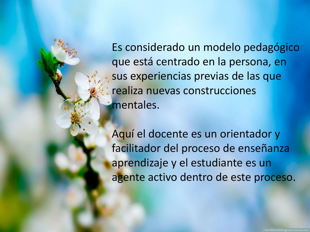 Es considerado un modelo pedagógico que está centrado en la persona, en sus experiencias previas de las que realiza nuevas construcciones mentales.