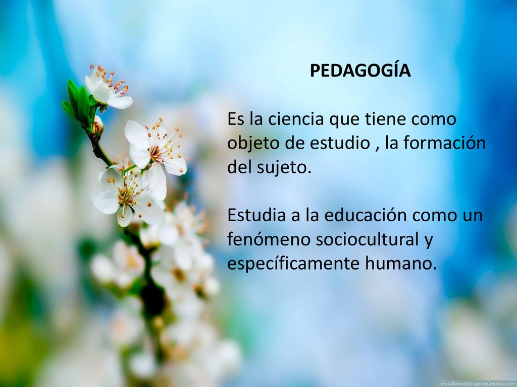 PEDAGOGÍA Es la ciencia que tiene como objeto de estudio , la formación del sujeto.