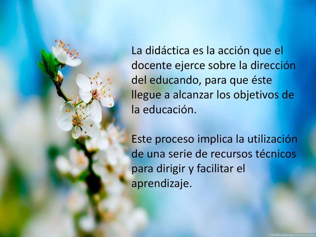 La didáctica es la acción que el docente ejerce sobre la dirección del educando, para que éste llegue a alcanzar los objetivos de la educación.