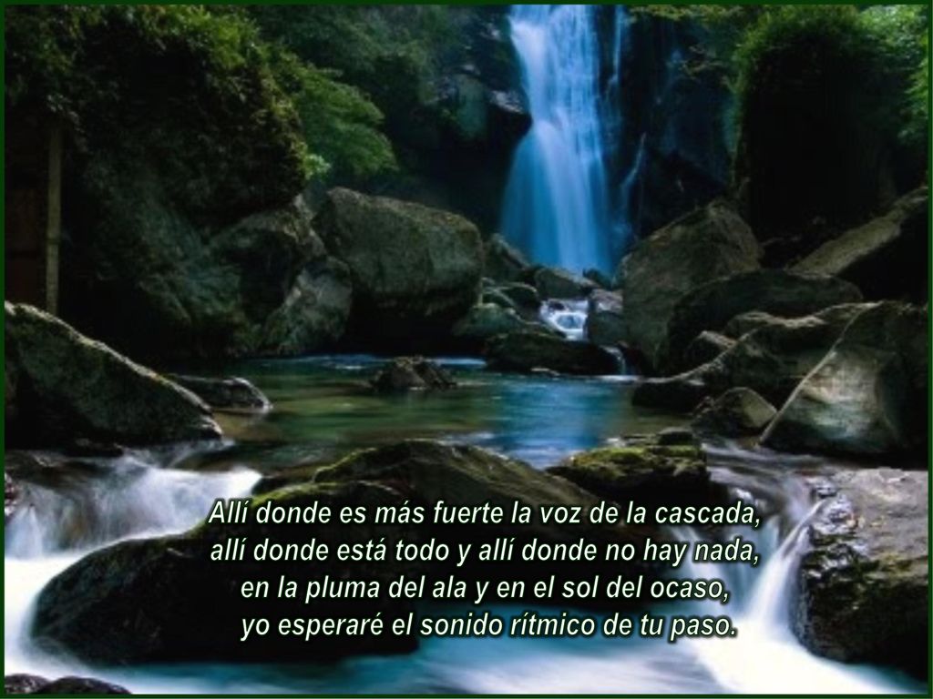 Allí donde es más fuerte la voz de la cascada, allí donde está todo y allí donde no hay nada, en la pluma del ala y en el sol del ocaso, yo esperaré el sonido rítmico de tu paso.