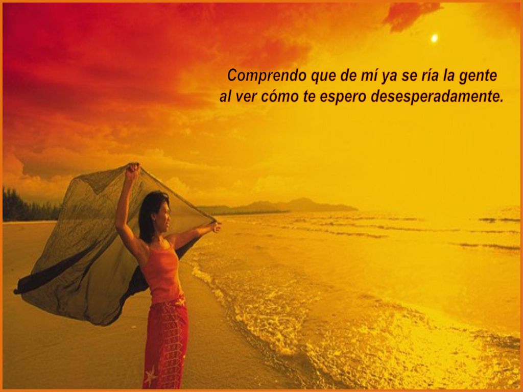 Comprendo que de mí ya se ría la gente al ver cómo te espero desesperadamente.