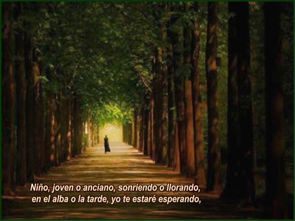 Niño, joven o anciano, sonriendo o llorando, en el alba o la tarde, yo te estaré esperando,