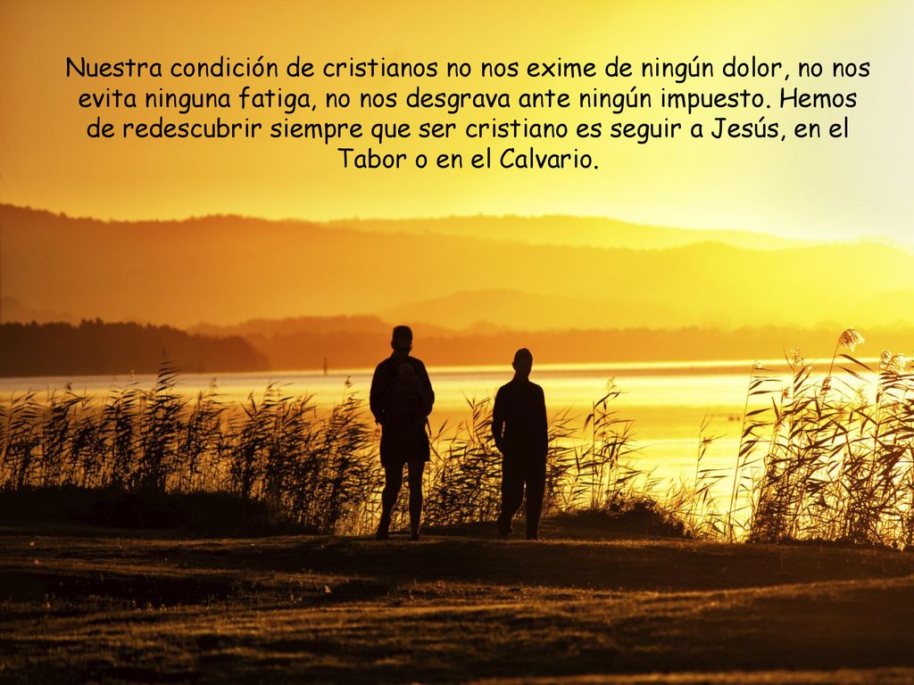 Nuestra condición de cristianos no nos exime de ningún dolor, no nos evita ninguna fatiga, no nos desgrava ante ningún impuesto.