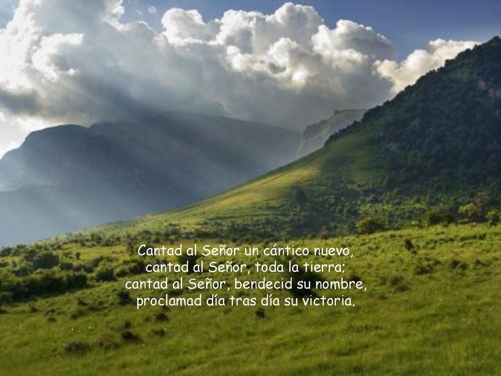 Cantad al Señor un cántico nuevo, cantad al Señor, toda la tierra;