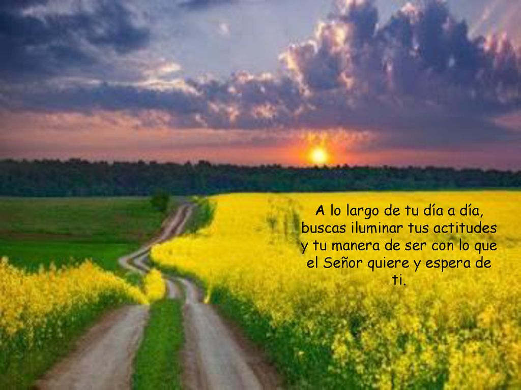 A lo largo de tu día a día, buscas iluminar tus actitudes y tu manera de ser con lo que el Señor quiere y espera de ti.