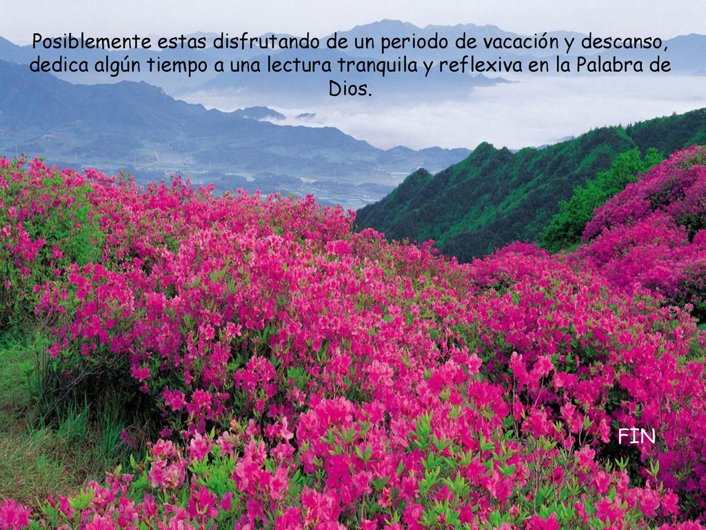 Posiblemente estas disfrutando de un periodo de vacación y descanso, dedica algún tiempo a una lectura tranquila y reflexiva en la Palabra de Dios.
