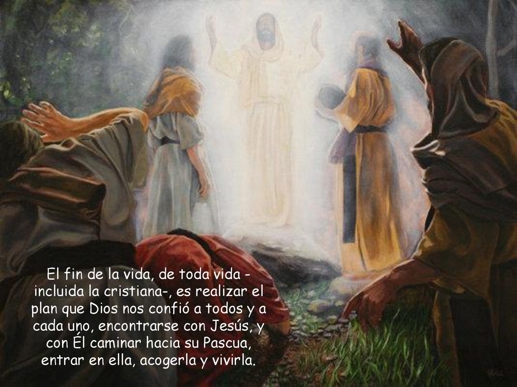 El fin de la vida, de toda vida -incluida la cristiana-, es realizar el plan que Dios nos confió a todos y a cada uno, encontrarse con Jesús, y con Él caminar hacia su Pascua, entrar en ella, acogerla y vivirla.