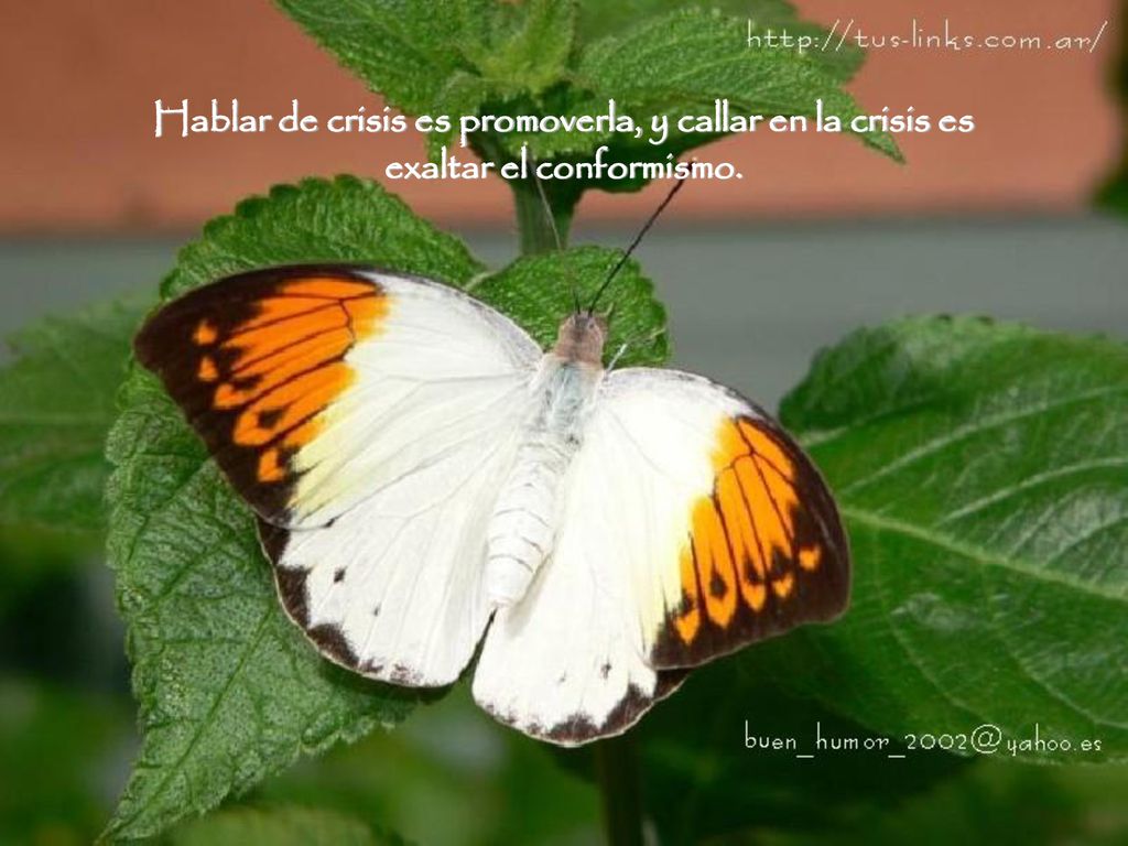 Hablar de crisis es promoverla, y callar en la crisis es exaltar el conformismo.